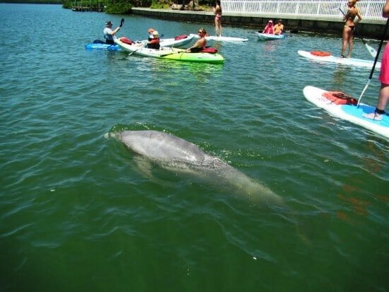 Don Pedro State Park